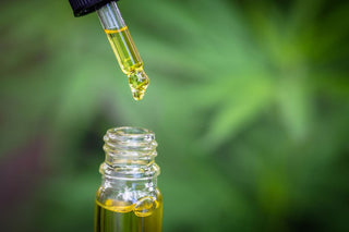 best CBD oil