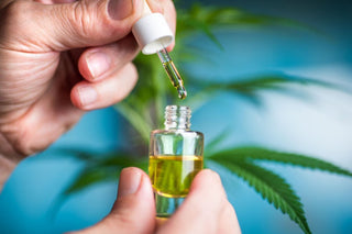 difference between cbd oil and medical marijuanas