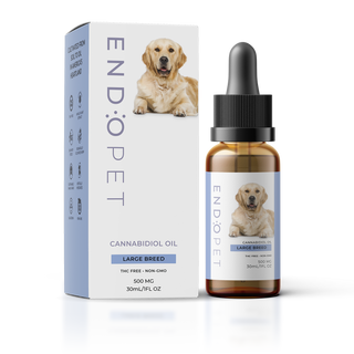 CBD Oil Dogs