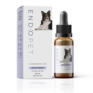 CBD Oil Dogs