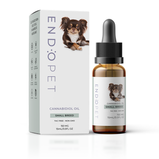 CBD Oil Dogs